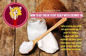 Artistic Coconut Oil For Itchy Scalp Background Nature Artistic Coconut Oil For Itchy Scalp Background Nature