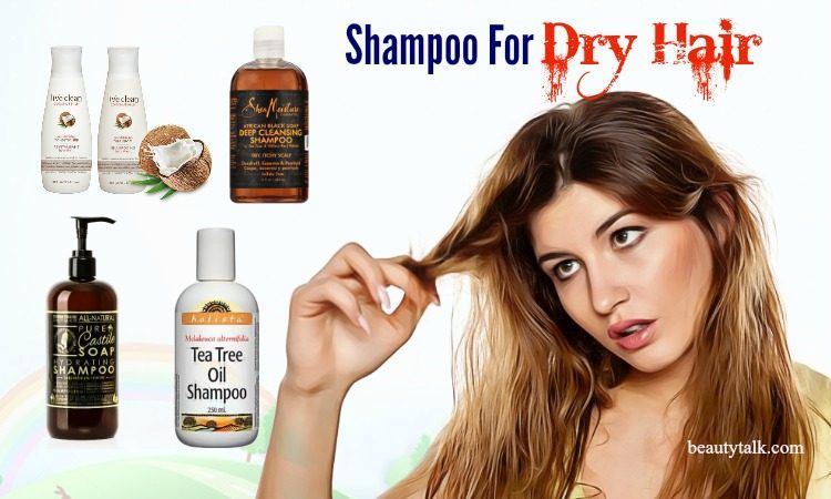 shampoo for dry hair and dandruff